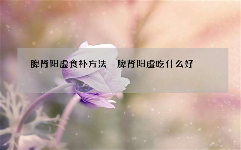 脾肾阳虚食补方法 脾肾阳虚吃什么好